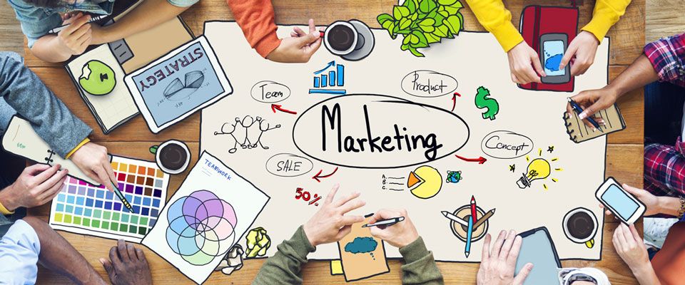 درباره ما - معرفی تیم طراحی نوین قلم