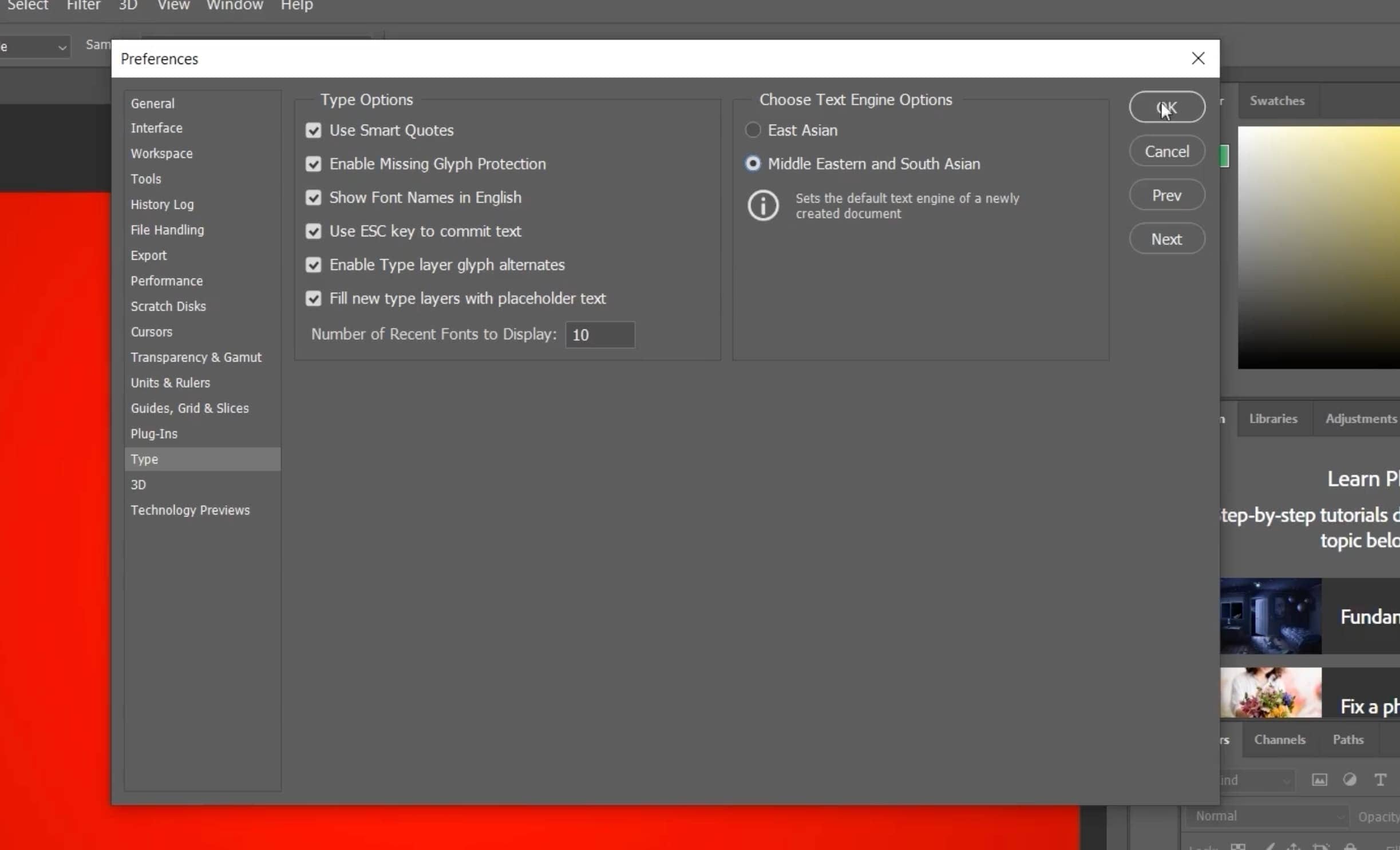 انتخاب گزینه Middle Eastern and South Asian